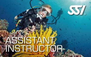 SSI Assistant Instructor card, scuba diver in black wetsuit in front of yellow soft coral