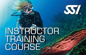 SSI Instructor Training Course card, scuba diver diving over large bright pink sea sponge