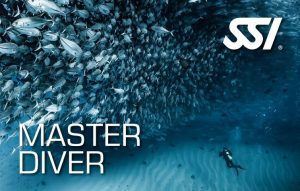 SSI Master Diver rating card, scuba diver underneath gigantic bait ball of jacks