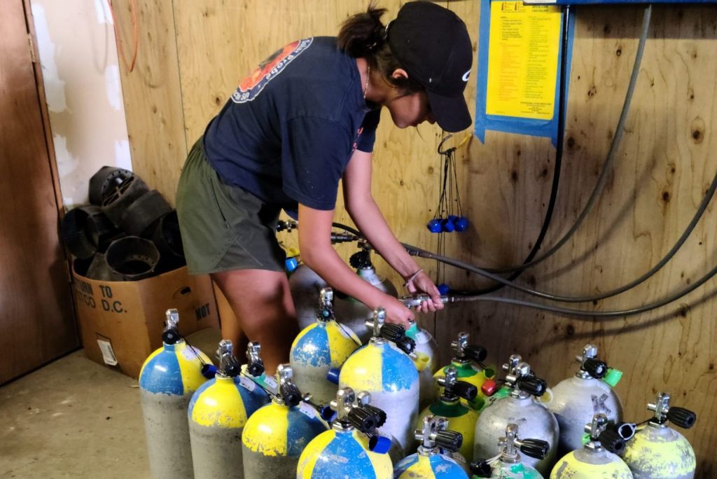 Hawaiian Diving Adventures photo 2